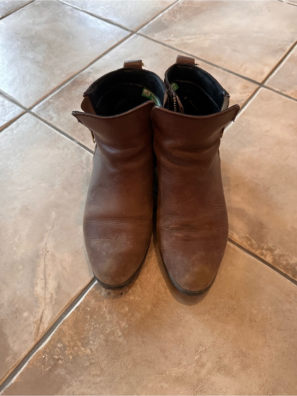 Cougar Woman’s 8.5 Brown Leather Ankle Boots Slight Heel Waterproof